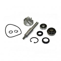 Kit de reparação da bomba de água Allpro Honda SH 125/150cc 01-12