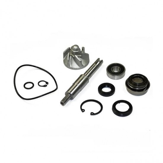 Kit de reparação da bomba de água Allpro Honda SH 125/150cc 01-12