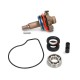 Kit de reparação da bomba de água Allpro Honda SH / PCX 125-150 12-17