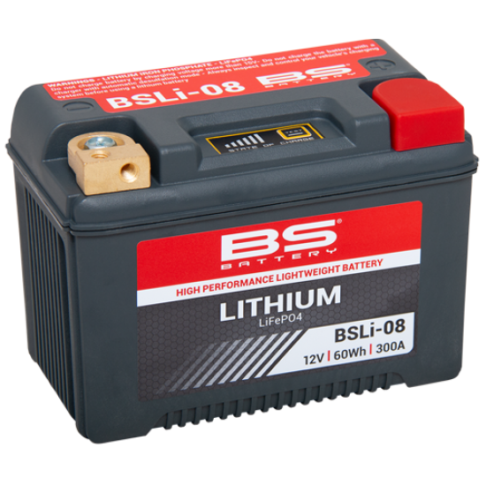 Bateria BSBattery Bsli-08 Litio Ativadas de Fábrica.