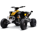 CAN-AM DS 450EFI / DS 450 XMX