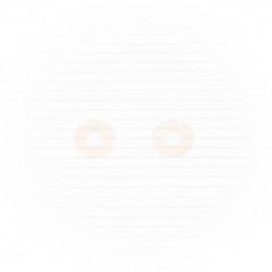 Anilhas NYLON (10 / un) BOLT MOTORCYCLE HARDWARE