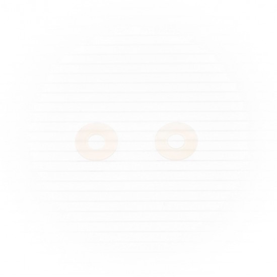 Anilhas NYLON (10 / un) BOLT MOTORCYCLE HARDWARE