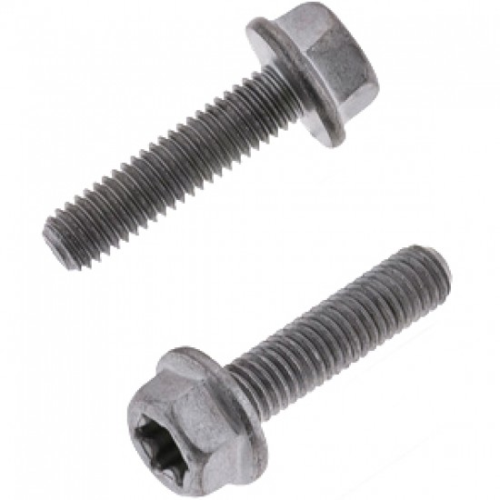 Parafuso Sextavado & Torx c / Flange M5 (10 / un) BOLT MOTORCYCLE HARDWARE
