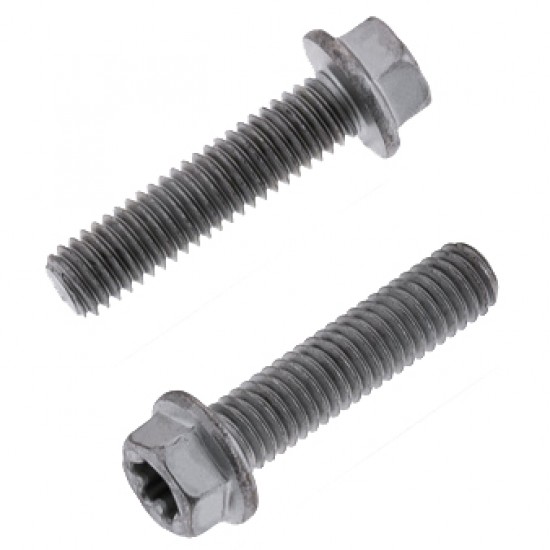 Parafuso Sextavado & Torx c / Flange M6 (10 / un) BOLT MOTORCYCLE HARDWARE