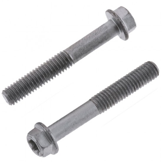 Parafuso Sextavado & Torx c / Flange M6 (10 / un) BOLT MOTORCYCLE HARDWARE