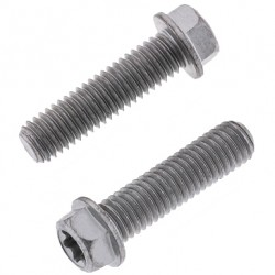Parafuso Sextavado & Torx c / Flange M8 (10 / un) BOLT MOTORCYCLE HARDWARE