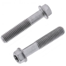 Parafuso Sextavado & Torx c / Flange M8 (10 / un) BOLT MOTORCYCLE HARDWARE