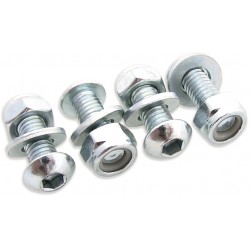 Parafusos e Porcas para Matricula (4 / un) BOLT MOTORCYCLE HARDWARE