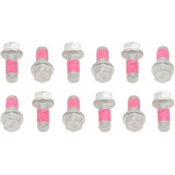 Kit de Parafusos de Disco de Travão BOLT BOLT MOTORCYCLE HARDWARE Beta