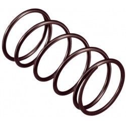 Mola de Variador Piaggio HEBO RACING