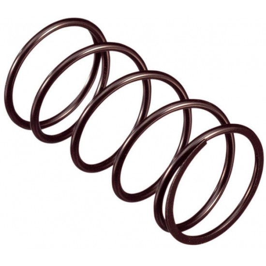 Mola de Variador Piaggio HEBO RACING