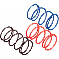 Mola de Variador Piaggio HEBO RACING