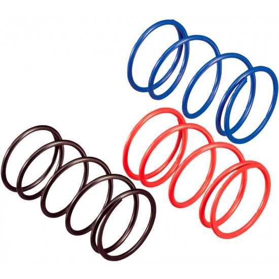 Mola de Variador Piaggio HEBO RACING