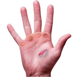 Palm Savers Risk Racing Decor Palm Savers Risk Racing Decor