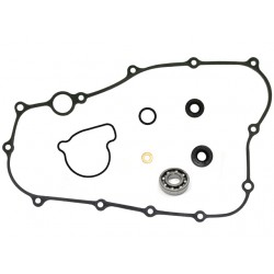 Kit Bomba De Agua Honda