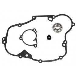 Kit Bomba De Agua Kawasaki