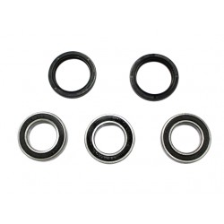 Kit Rolamentos Roda De Tras RacePro Aprilia