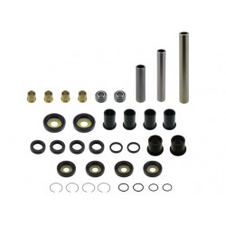 Kit Reparação Triangulos e Suspensão Independente Traseira RacePro Honda