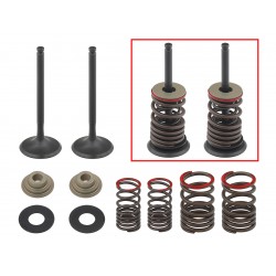 Kit De Valvulas De Escape Completo Kawasaki