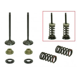 Kit De Valvulas De Escape Completo Gasgas