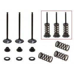 Kit De Valvulas De Admissão Completo Gasgas
