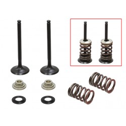 Kit De Valvulas De Escape Completo Suzuki