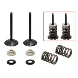 Kit De Valvulas De Admissão Completo Suzuki
