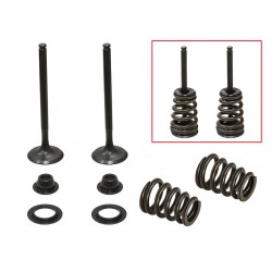 Kit De Valvulas De Escape Completo Beta