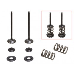 Kit De Valvulas De Escape Completo Husaberg