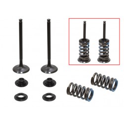 Kit De Valvulas De Escape Completo Husqvarna