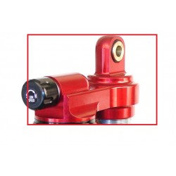 Piggy Head Elka Legacy