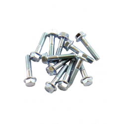 Kit Parafusos Montagem Aros Goldspeed / GPS Poly Beadlock (12)