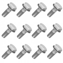 Kit Parafusos Montagem Aros Goldspeed Beadlock (12)