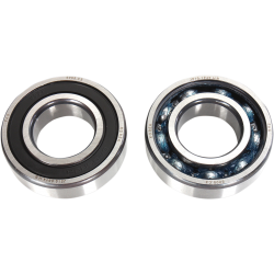 Kit Rolamentos Contra Balanço Hot Rods Yamaha Raptor 350