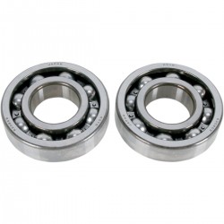 Kit Rolamentos Cambota Hot Rods Yamaha Raptor 700