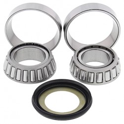 Kit Rolamentos De Direção All Balls RIEJU