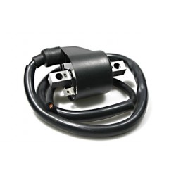 Bobine De Ignição Polaris Outlaw 525