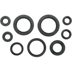 Kit Vedantes Motor Moose Honda Trx 450