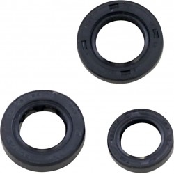 Kit Vedantes de Motor Moose Racing Honda