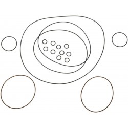 Kit O-rings P/ Cabeça Pro Design Cool Head Yamaha Banshee 350