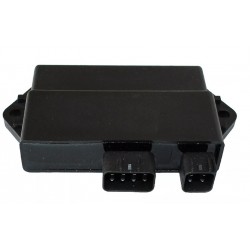 Cdi Yamaha Raptor 350 (+1000rpm)