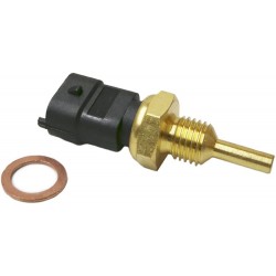 Sensor de Temperatura Atv Promx Polaris