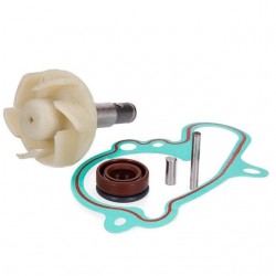 Kit Reparação Bomba Agua ALLPRO Yamaha Dt 50