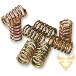 Kit Molas Embraiagem Prox Gasgas