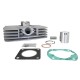 Cilindro 60cc Ø42mm Alukit RJ Sachs 5V