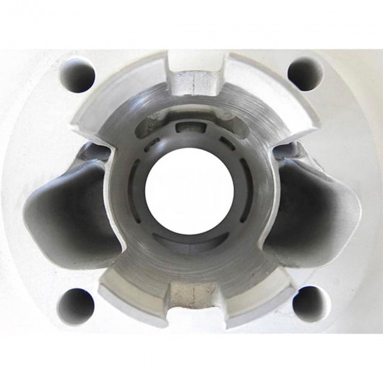 Cilindro 60cc Ø42mm Alukit RJ Sachs 5V