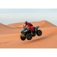 ATV SEGWAY Snarler AT5 SE Cinza / Azul