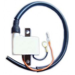 Bobine De Ignição Yamaha Raptor 250