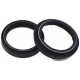 Kit Retentores e Guarda-Pós Forqueta SKF Estrada Triumph